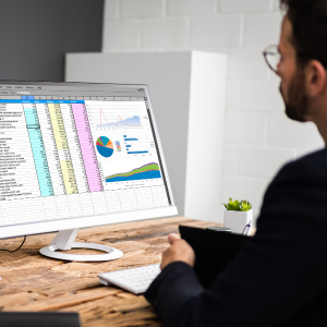 Gestión de Datos y Tablas Dinámicas con Excel